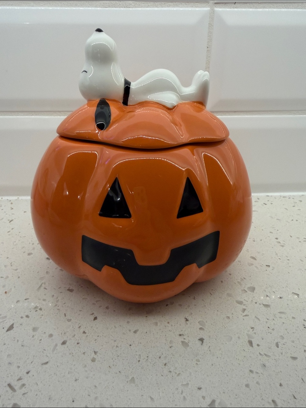NEW Rae Dunn x Peanuts Snoopy Welcome Great Pumpkin Jack O'Lantern Canister